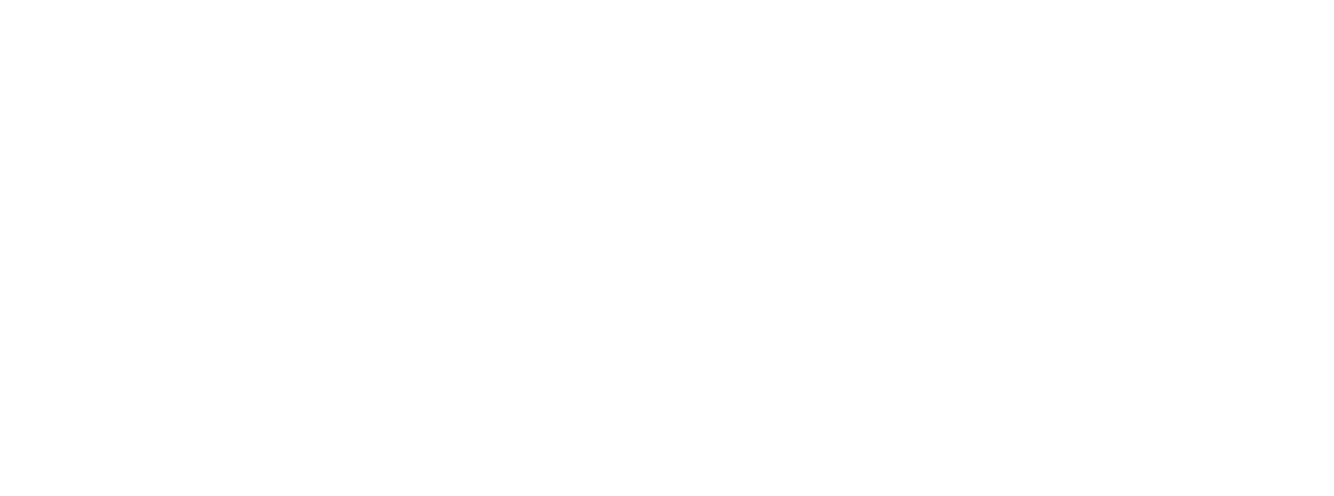 Virtually Interactive Logo Virtually Interactive Logo HOR White